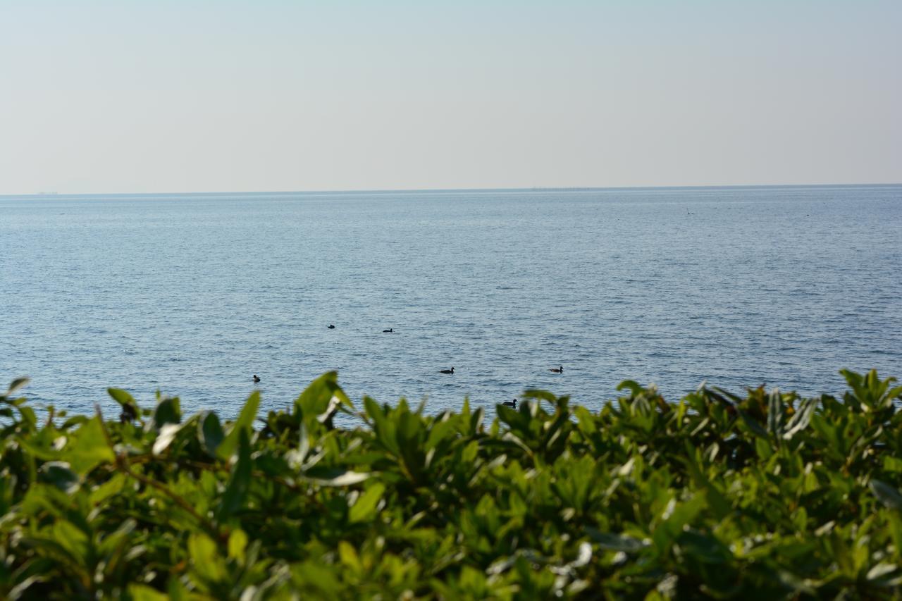 Hikone View Hotel Dış mekan fotoğraf