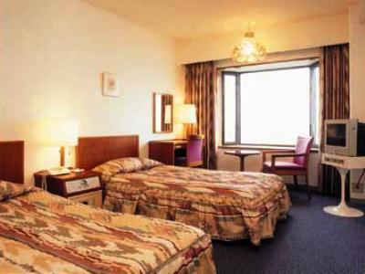 Hikone View Hotel Dış mekan fotoğraf